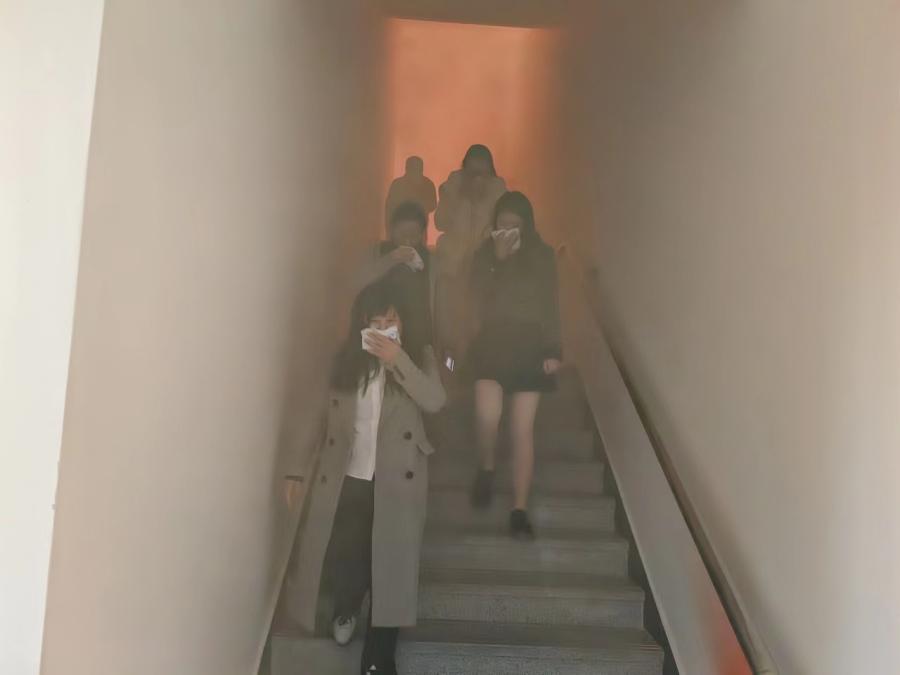 1700229411342545ta3r.jpg 44.jpg